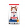 Hill's Science Diet Alimento para Gato Adulto Seco Adult 7+ Original