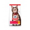 Hill's Science Diet Alimento para gato adulto seco original