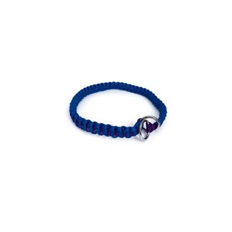 Collar Cochitta Adiestramiento Azul Y Morado S